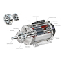 illustration of electric motor with callouts