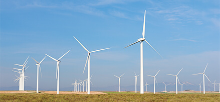 wind turbines on a farm