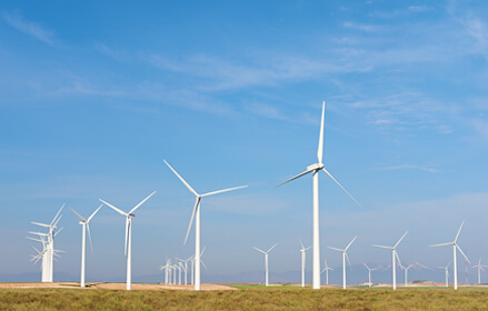wind turbines on a farm